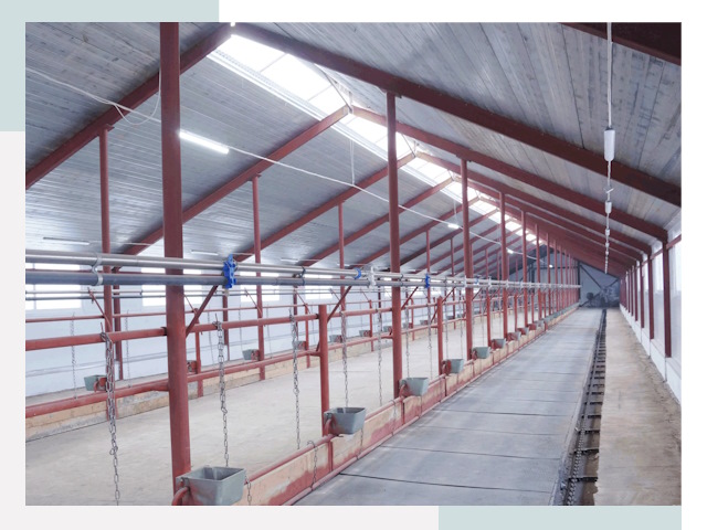 Строительство коровников в Горно-Алтайске от 622 руб.