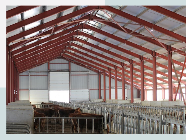 Строительство коровников в Горно-Алтайске