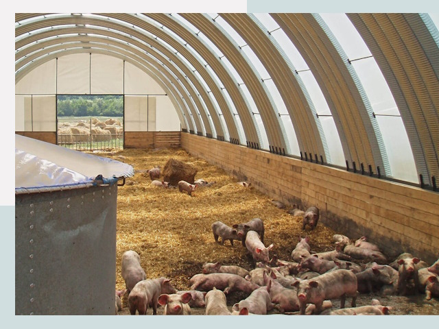 Строительство свинарников в Горно-Алтайске