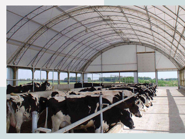 Тентовые коровники в Горно-Алтайске